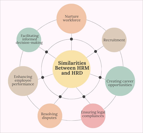 similarities between HRD and HRM