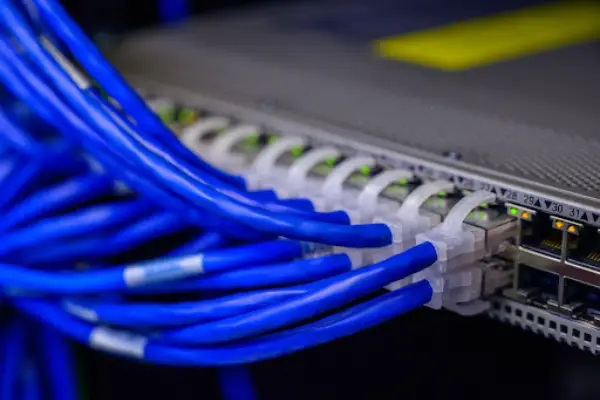 Cables Connected to a Switch