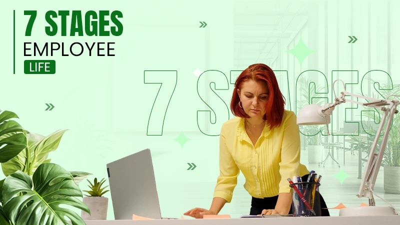 7 stage employee life